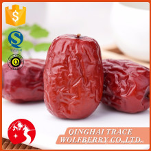 Professional manufacture cheap jujube fruit